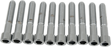 DRAG SPECIALTIES 5/16-18 X 1 3/4" Smooth Socket Head MPB220S