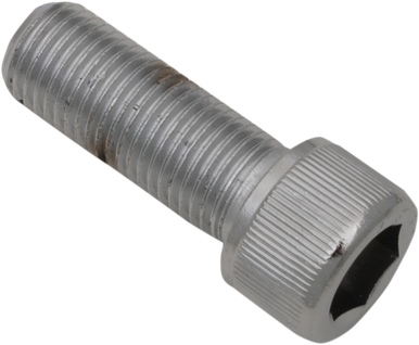 DRAG SPECIALTIES Socket Head - 3/8"-24 x 1" MPB250
