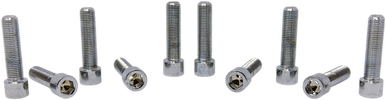 DRAG SPECIALTIES Smooth Socket Head - 3/8"-24 x 1-3/4" MPB253S
