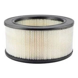 Baldwin PA1719 | Air Filter