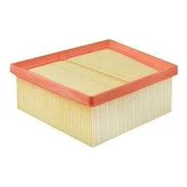Baldwin PA10003 | Ford Fiesta Air Filter