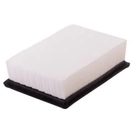 Premium Guard PA6199 | Air Filter