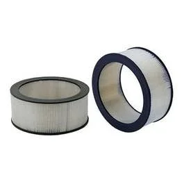 WIX 42273 | Ford C900 Air Filter
