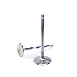 Volkswagen Type IV Manley Race Master Intake Valves 48mm 11658B-4