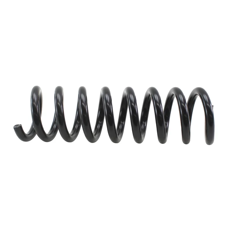 Lesjofors 4256855 – Coil Spring (Rear)