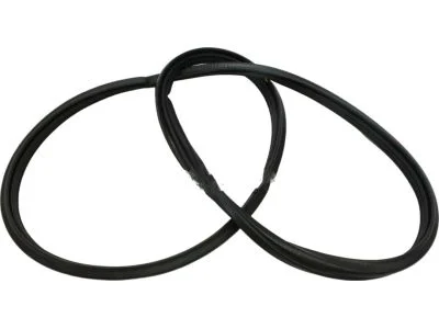 Toyota 62741-60091 Quarter Window Weatherstrip Right Hand