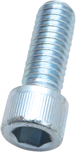 S&S CYCLE Screw - 3/8-16X1" 50-0161