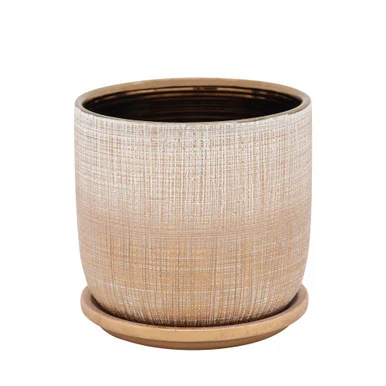 6″ Gold Textured Ceramic Planter with Saucer