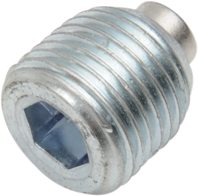 DRAG SPECIALTIES Primary Plug - 1/8 NPT" 11-0291-P