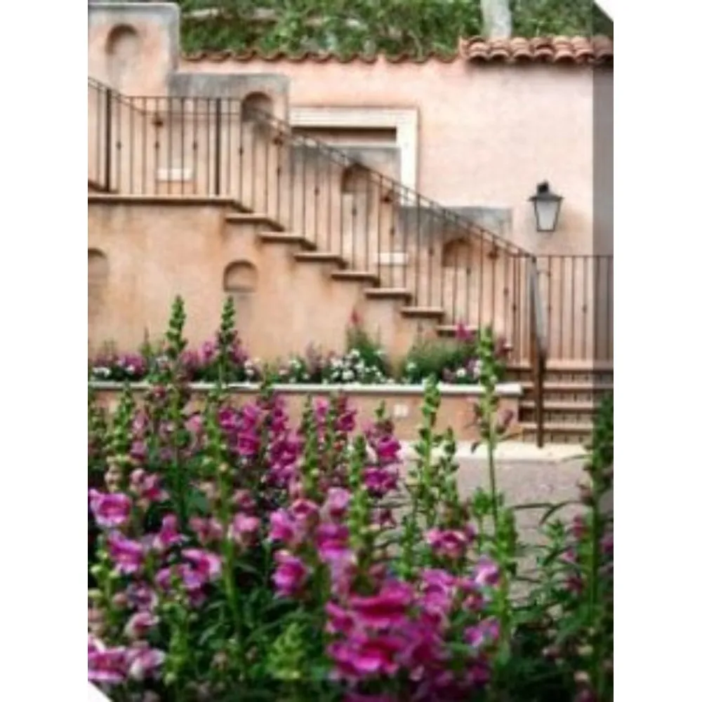Beige and Pink Snapdragons Outdoor Canvas Rectangular Wall Art Decor 40″ x 30″