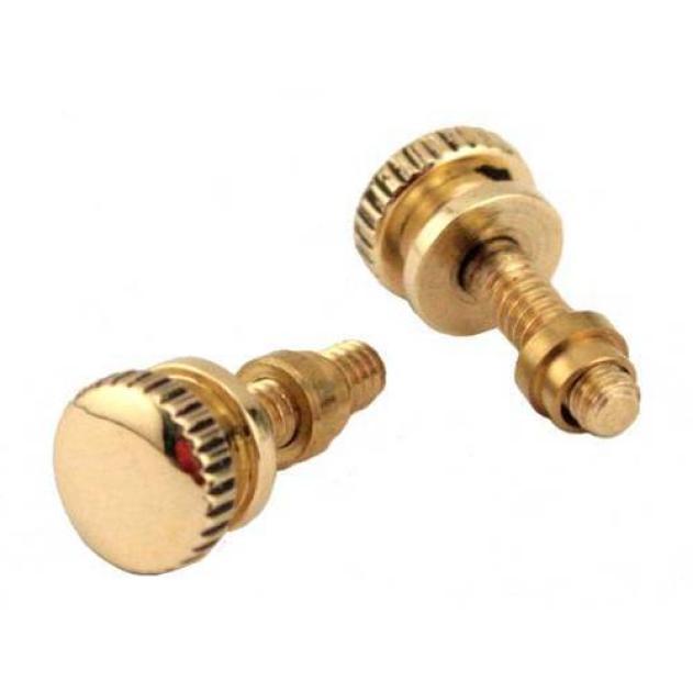Brass Horn Screen Rim Mounting Screws T-6433-MB