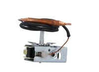 Marquis Spa 5/16 Inch Bulb X 24 Inch Capillary Thermostat 740-0366
