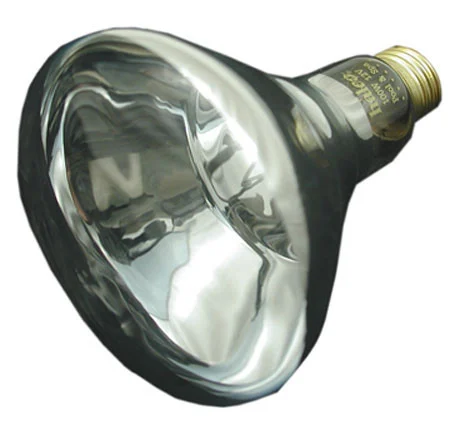 PENTAIR/AMERICAN PRODUCTS | BULB, FLOOD 100W 12V | 79101800