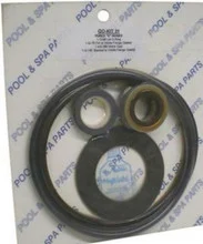 Pentair C Series Oring and Gasket Kit-Go-Kit # 31