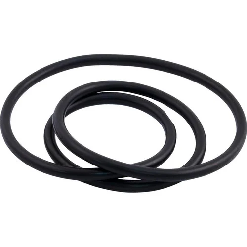 Pentair Clean & Clear Plus Filters Fns Plus Filters Quad D.E Filter Oring | 39010200