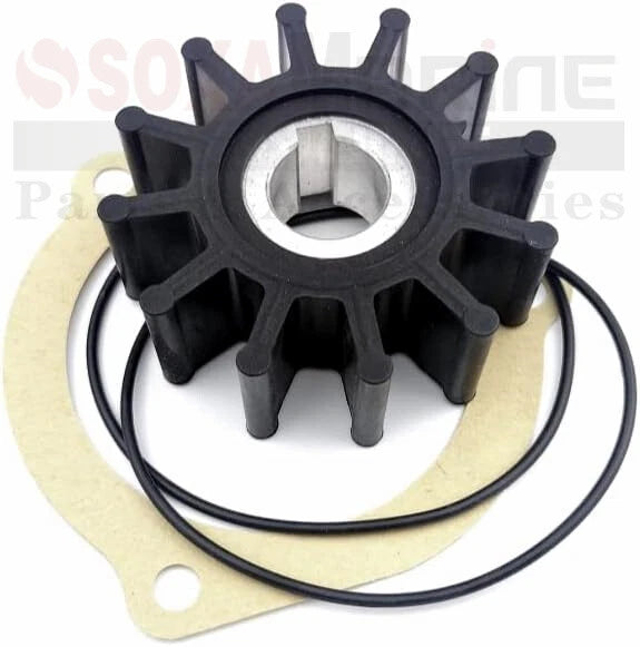Minor Repair Kit for Sherwood Pump G903MNK G908MNK G11MNK (09000K)