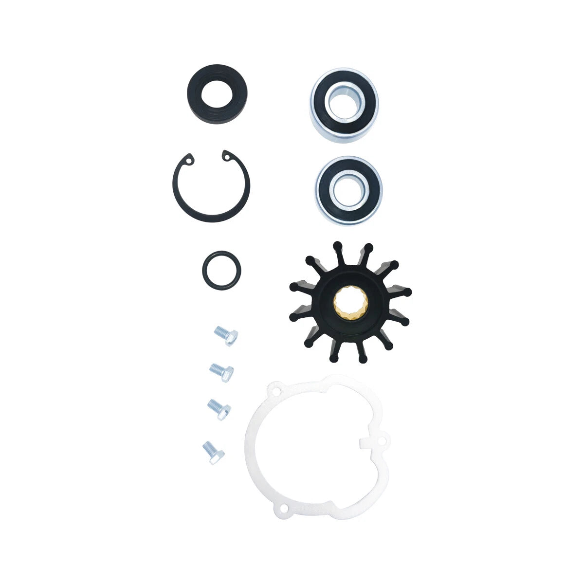 Repair Kit for Johnson Pump F5B-905 (OMC 10-13159 3858847 3857794)