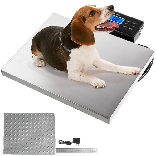 Digital Livestock Scale 400Lbs x 0.2Lbs Pet Vet Scale Stainless Steel Large Platform Postal Shipping Scale Industrial Floor Scale dog Scale for Busniess Office Home Warehouse Package Lugggage