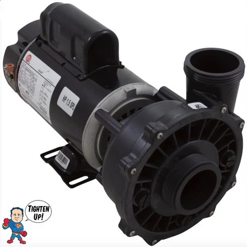 Waterway Executive 1.5hp Dual Speed Spa Pump – 115v 48fr 2″ Ports