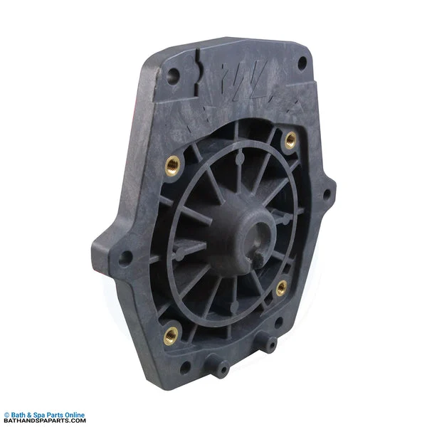 Waterway Faceplate [SVL/Champion w/ Insert Gray] (311-1457GI)