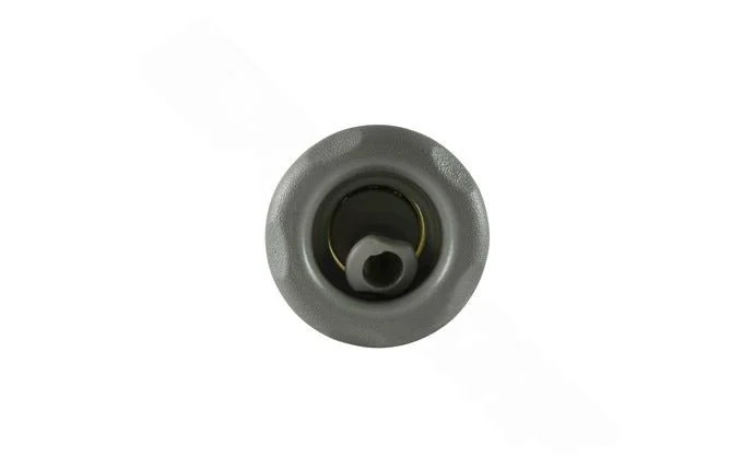 Waterway™ Poly Storm 229-8017 Gray Roto Gunite Jet Internal with 5-Scallop,