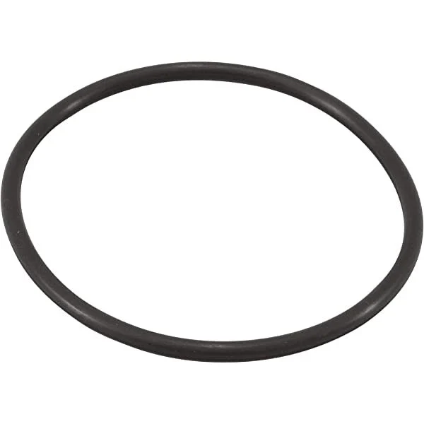 Zodiac O-Ring for Jandy Pro Series TruClear Chlorine Generating System – R0694100
